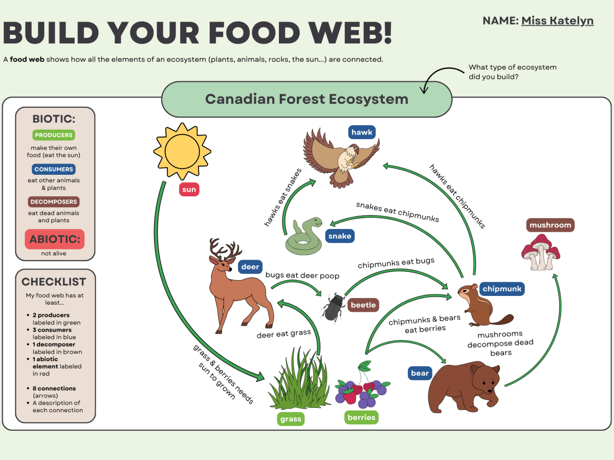 Food Web Consolidation&nbsp;Activity