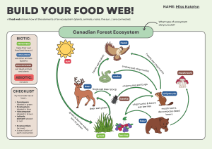Food Web Consolidation&nbsp;Activity