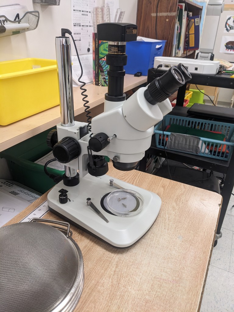 Microscope in classroom